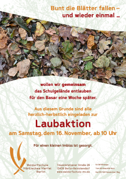 Laubaktion Herbst 2024